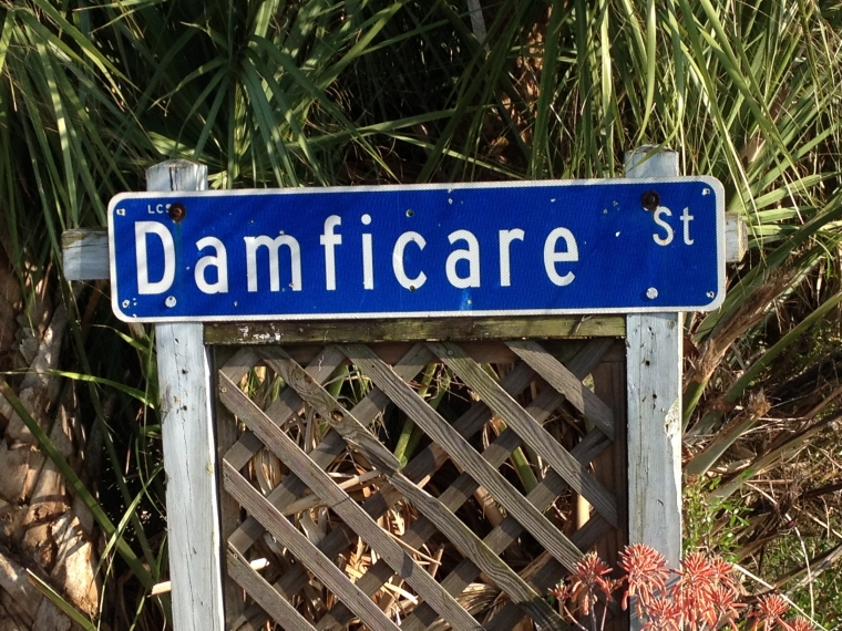 Signs You Should Visit Boca Grande