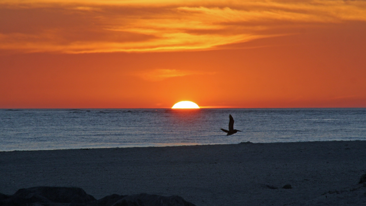 Boca Grande Beachfront Home Auction