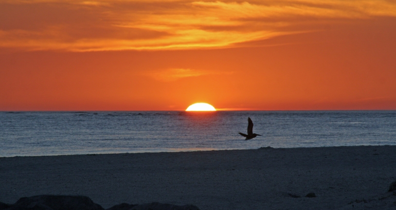 Boca Grande Beachfront Home Auction