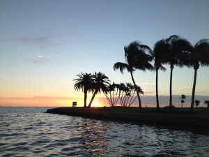 Perfect Active Boca Grande Day