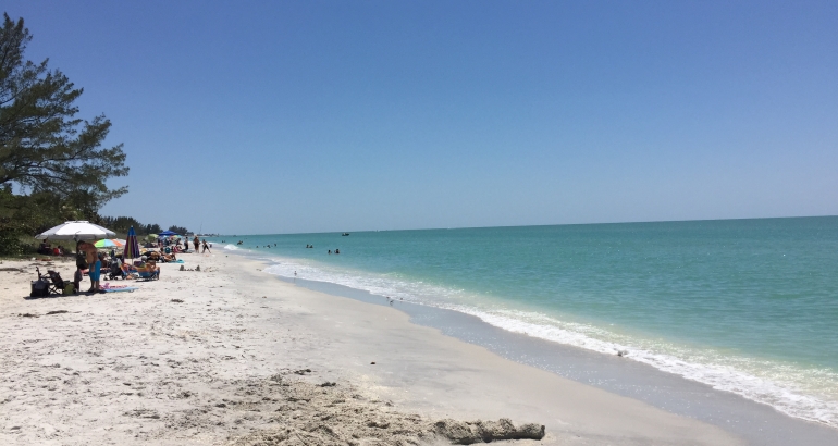 Boca Grande Red Tide