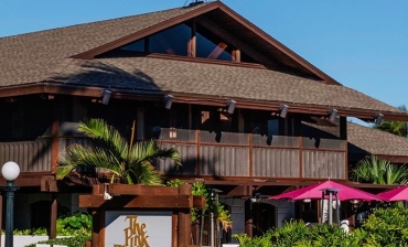 The Pink Elephant