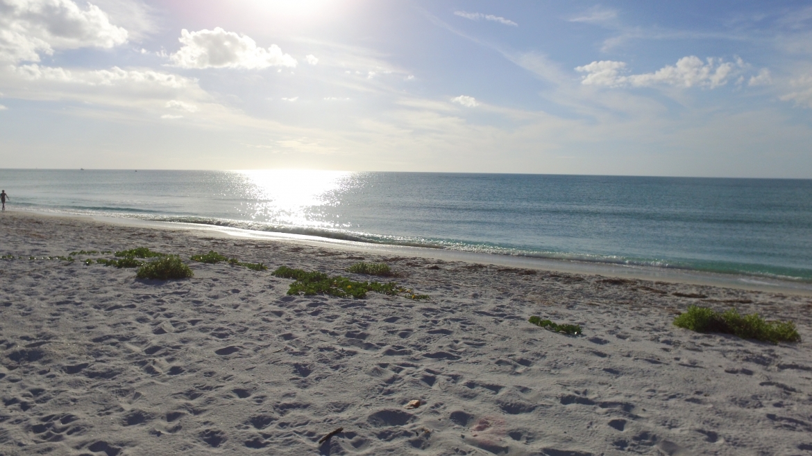 Perfect “Active” Boca Grande Day