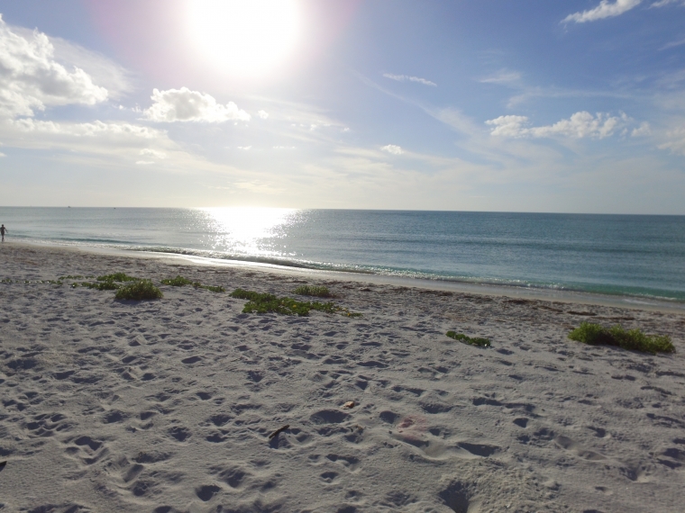 Perfect “Active” Boca Grande Day