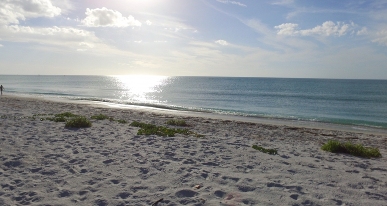 Perfect “Active” Boca Grande Day