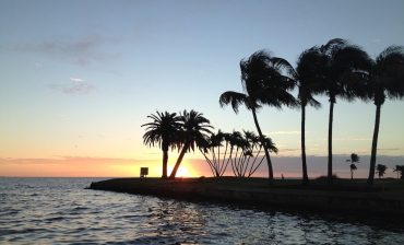 Boca Grande Paddle Board