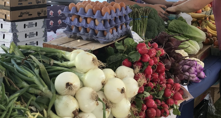 Boca Grande Farmer’s Market