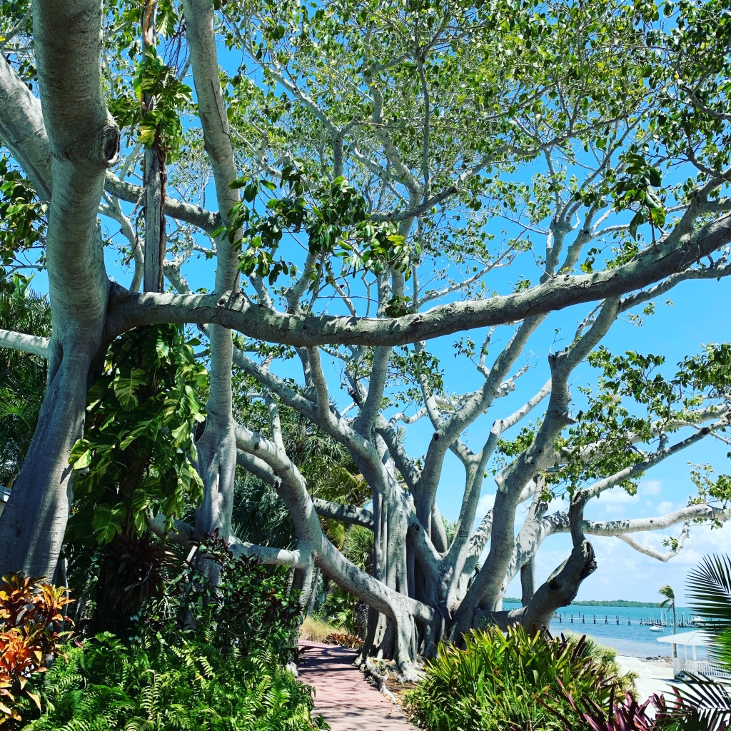 Boca Grande Boat