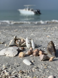 Boca Grande Shelling