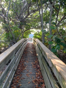 Boca Grande Beaches